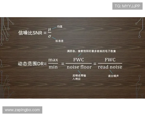 深入解读篮球二次起跳规则：判定与适用场景