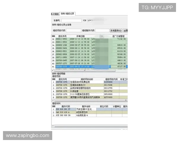帕尔默与萨卡技术全面性差距的关键维度解析